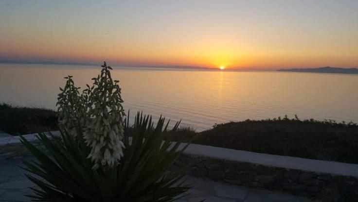 Syros Apartments Suites Chryssonisos Kini Eksteriør bilde
